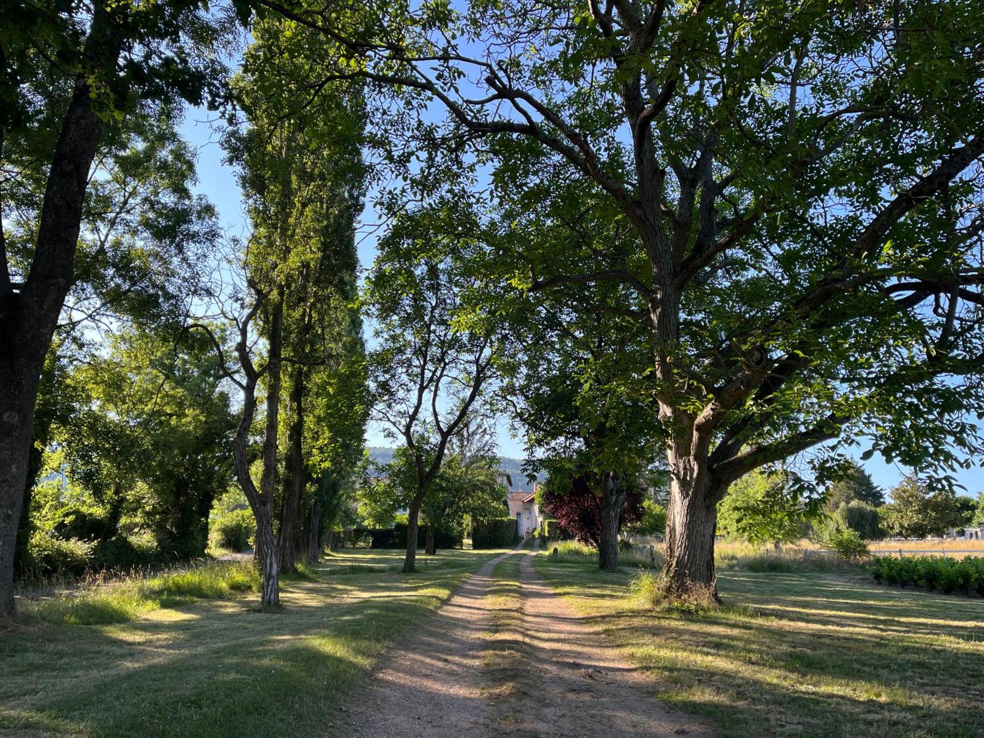 Saint-Etienne-la-Varenne Domaine De La Baisse 빌라 외부 사진