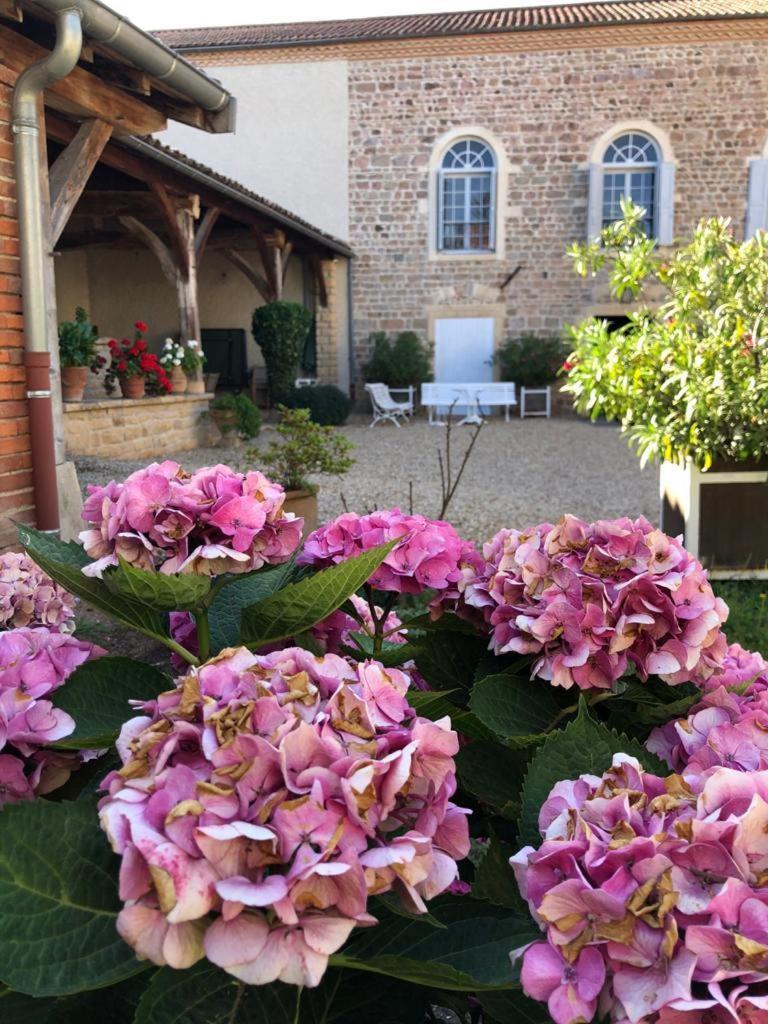 Saint-Etienne-la-Varenne Domaine De La Baisse 빌라 외부 사진